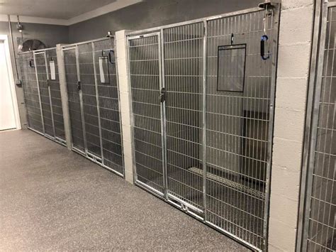 Mission Road Kennels.